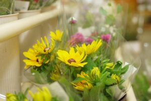 コスモス広場の取り扱い商品カテゴリ - お花