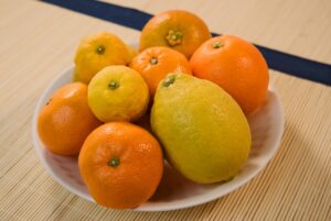 コスモス広場の取り扱い商品カテゴリ - みかん等の柑橘類