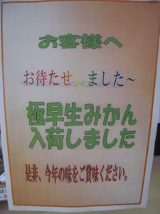 多くの「みかん」が入荷しています!!