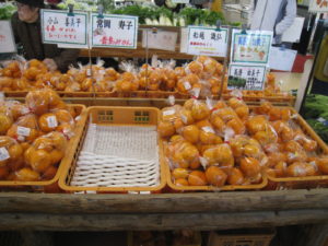 ポンカン等の美味しいみかん多数出荷中!!