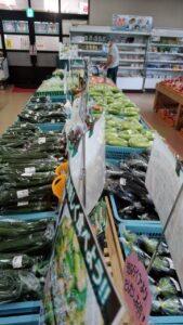 夏物野菜・果物多数入荷中!!