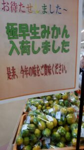 「極早生みかん」入荷しました!!