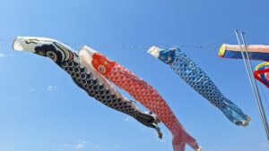 鯉のぼりの季節到来!!