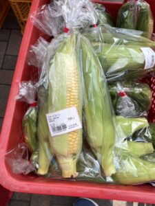 「スイートコーン即売会」第二段開催のお知らせ！！-写真5