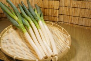 白ねぎ