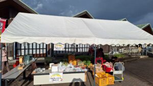 コスモス広場オープン２５周年記念感謝祭開催！！-写真2