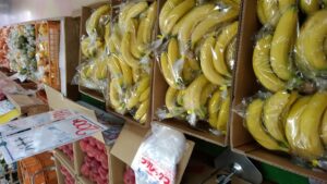 コスモス広場オープン２５周年記念感謝祭開催！！-写真4