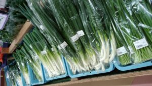 定休日のお知らせ！！-写真5