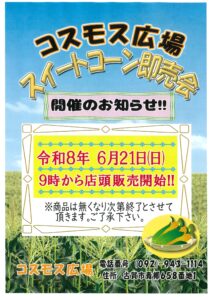 スイートコーン即売会開催のお知らせ！！
