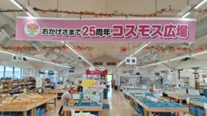 「早味かん」「極早生みかん」の入荷が始まりました！！-写真6