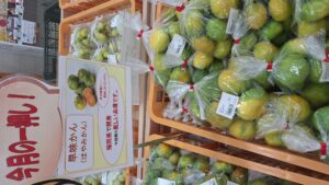 「早味かん」「極早生みかん」の入荷が始まりました！！