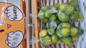 「早味かん」「極早生みかん」の入荷が始まりました！！-写真2